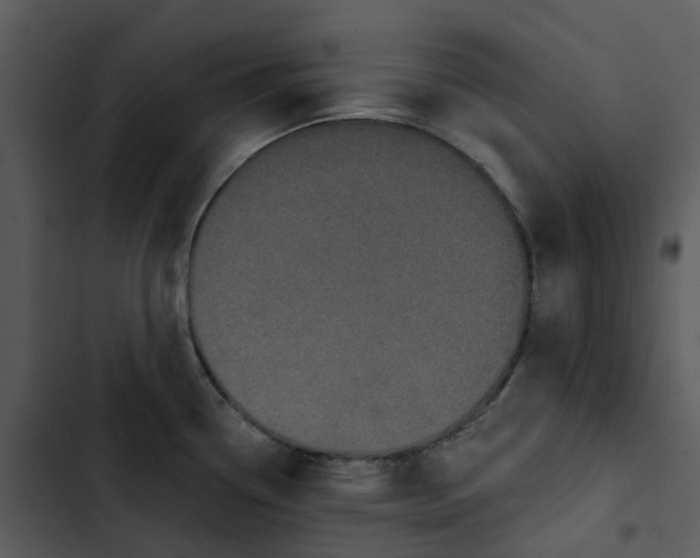 X0000102831338200809081146