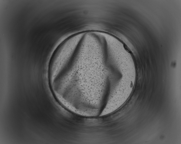 X0000102831339200809081146