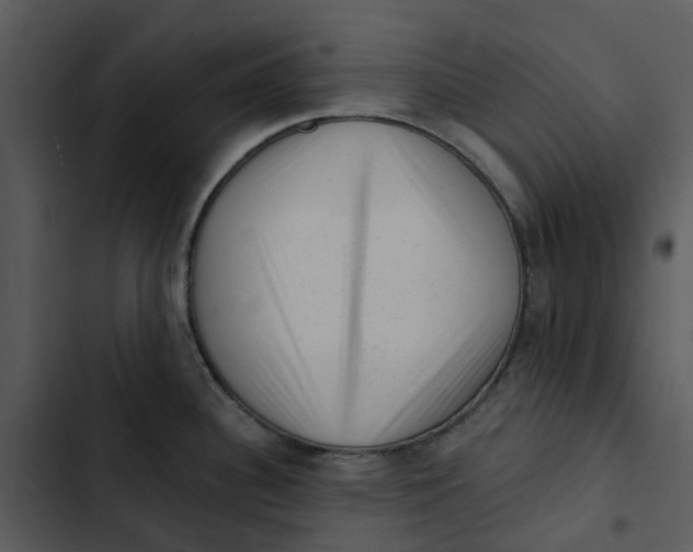 X0000102831340200809081146