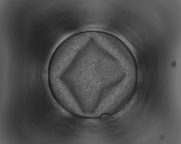 X0000102831341200809081146