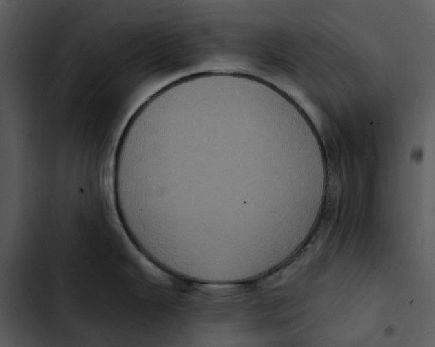 X0000102831343200809081146