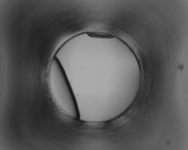 X0000102831344200809081146