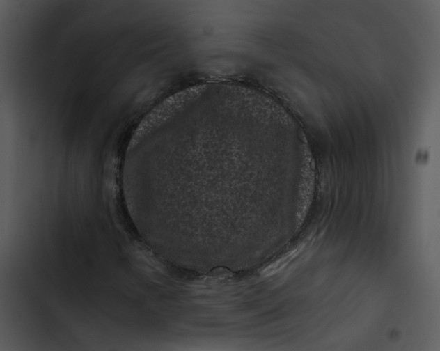 X0000102831346200809081145