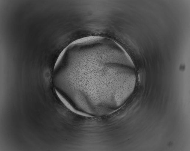 X0000102831347200809081145