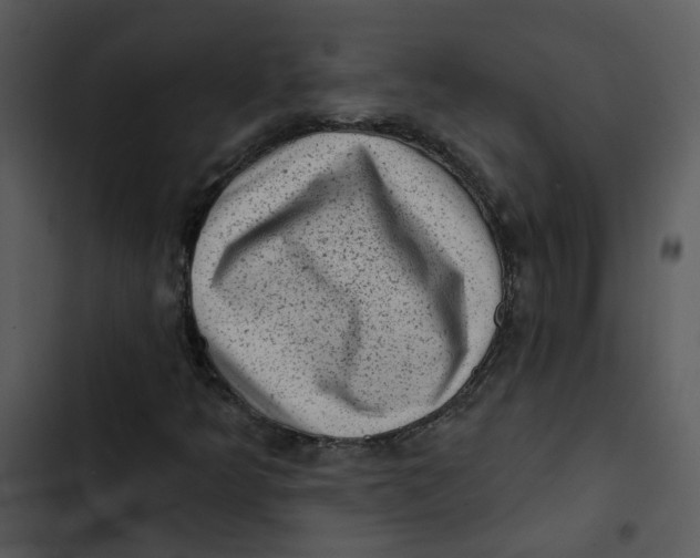 X0000102831349200809081145