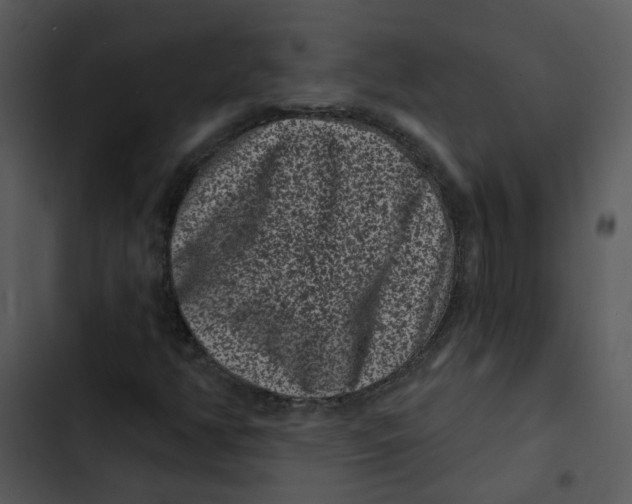 X0000102831350200809081145