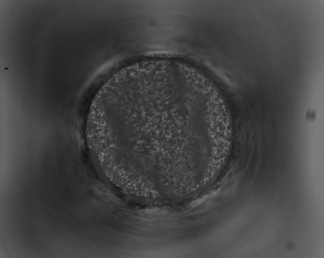 X0000102831351200809081145