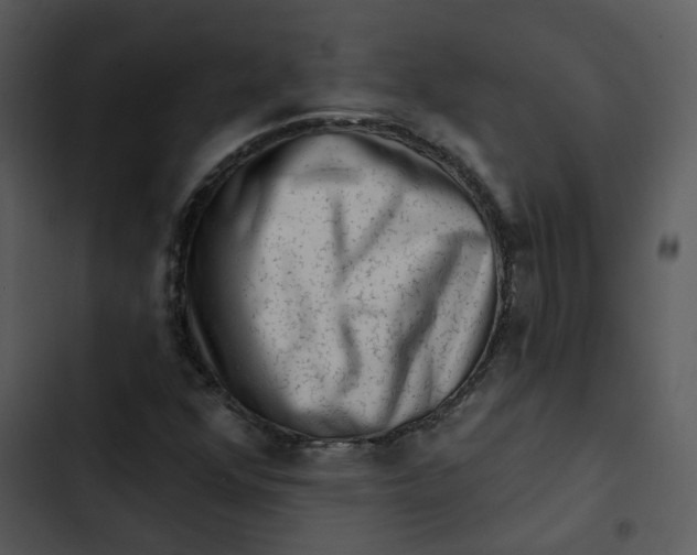 X0000102831352200809081145