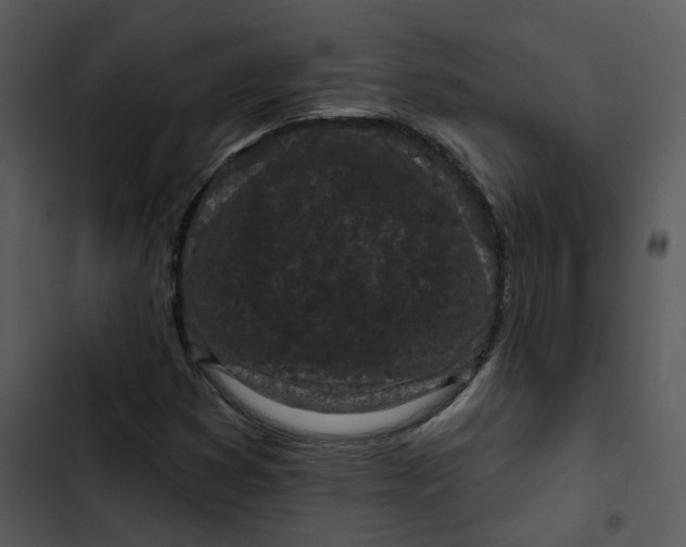 X0000102831353200809081145