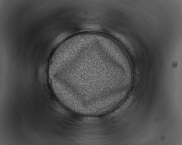 X0000102831354200809081145