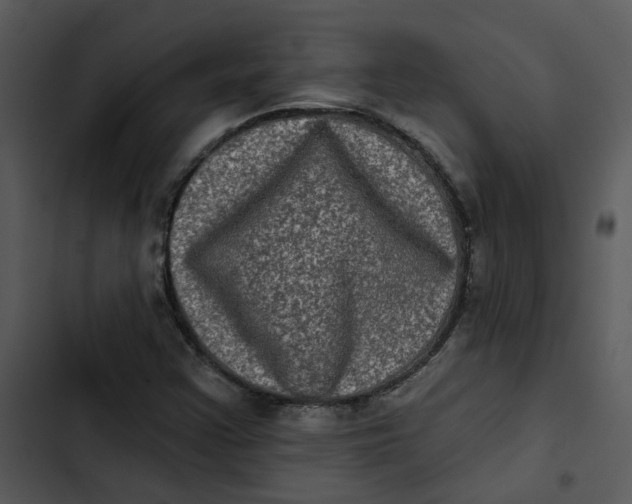 X0000102831355200809081145