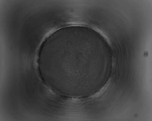 X0000102831357200809081145