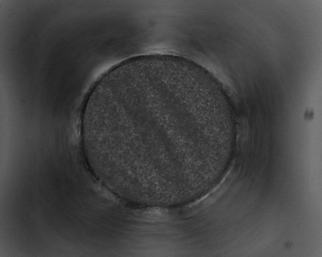 X0000102831358200809081145