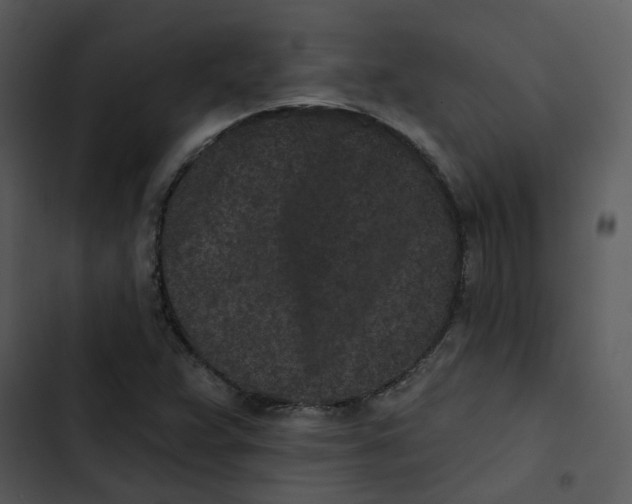 X0000102831359200809081145