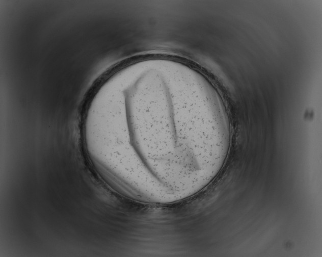 X0000102831360200809081145