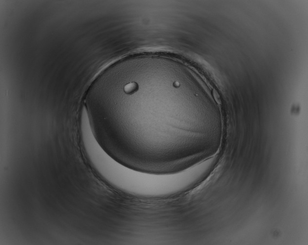 X0000102831361200809081145