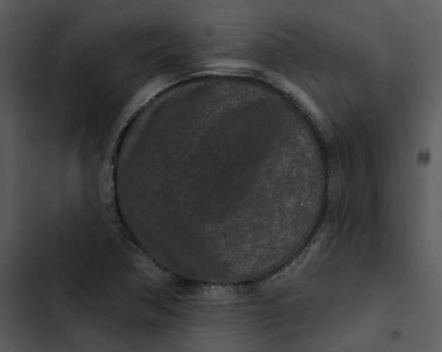 X0000102831362200809081145