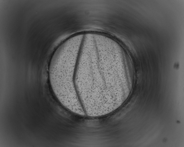 X0000102831363200809081145