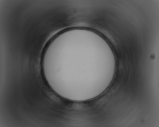 X0000102831364200809081145