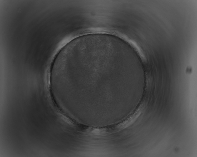 X0000102831365200809081145