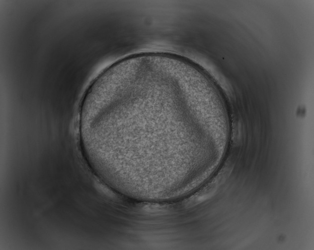 X0000102831366200809081145