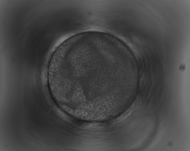 X0000102831367200809081145