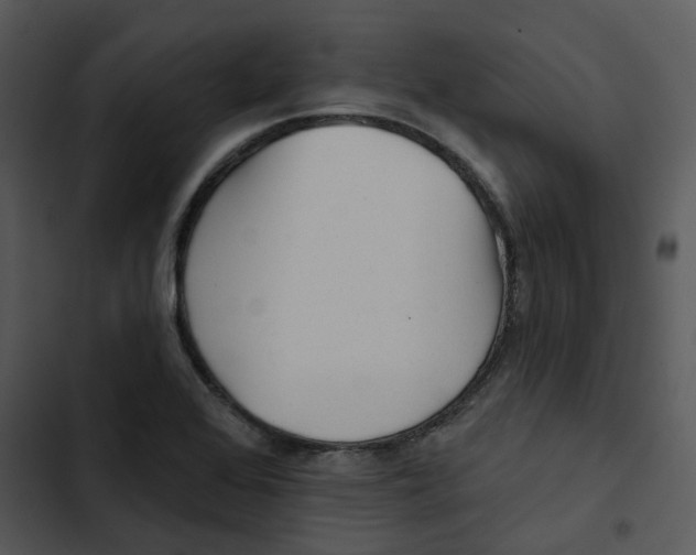 X0000102831368200809081145