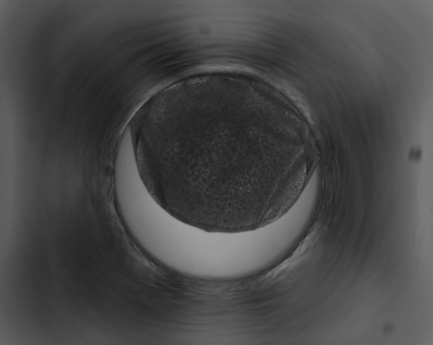 X0000102831369200809081145