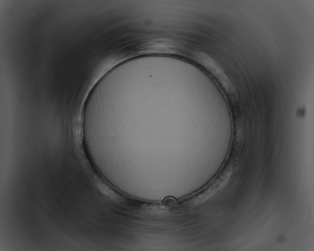 X0000102831370200809081145