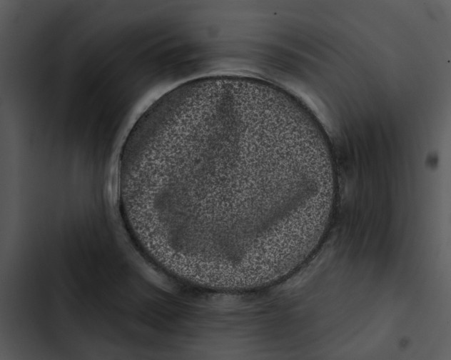 X0000102831371200809081145