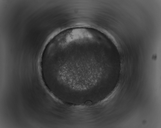 X0000102831373200809081145