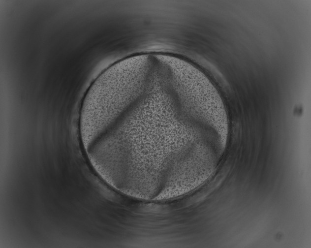 X0000102831374200809081145