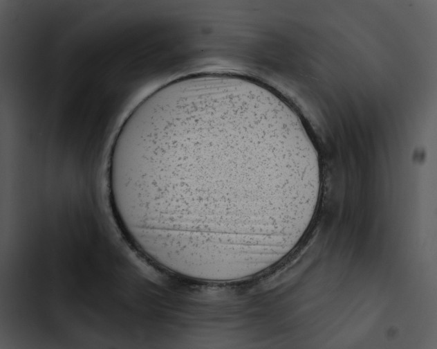 X0000102831375200809081145