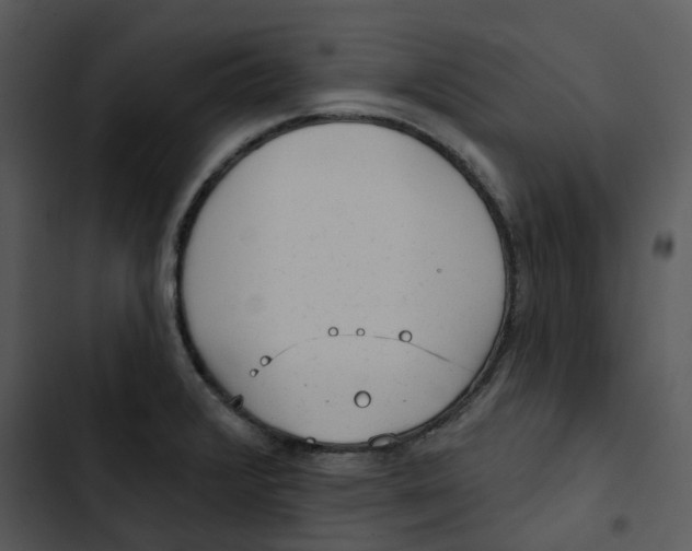 X0000102831376200809081145