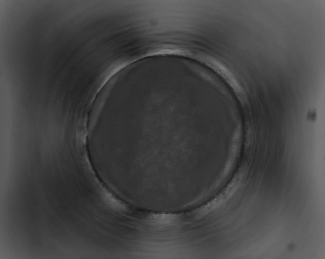 X0000102831377200809081145