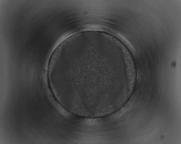 X0000102831378200809081145