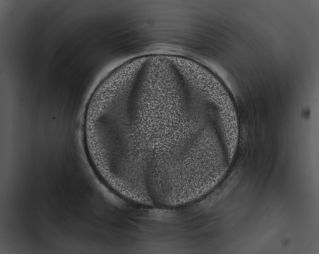 X0000102831379200809081145