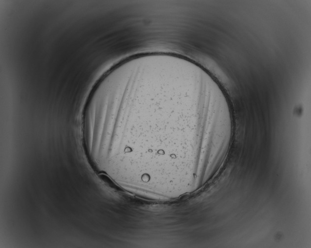 X0000102831380200809081145