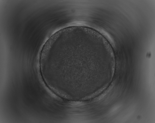 X0000102831382200809081145