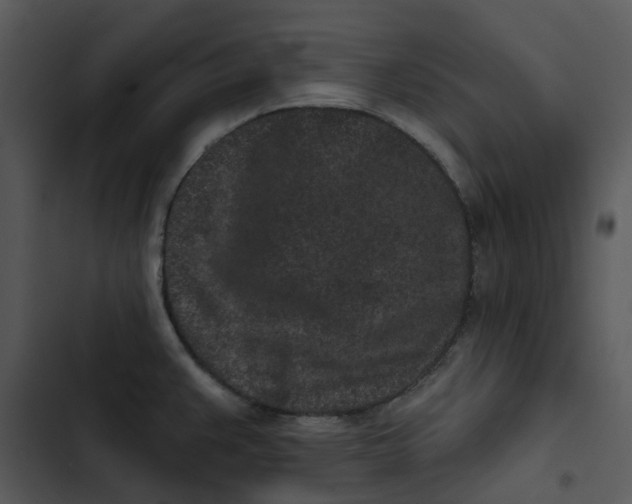 X0000102831383200809081145