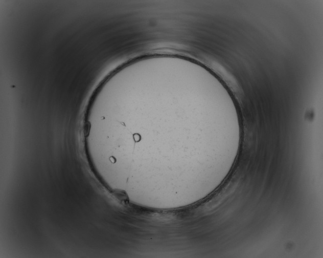 X0000102831384200809081145