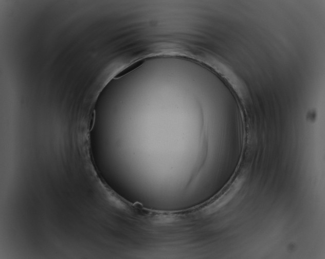 X0000102831385200809081145