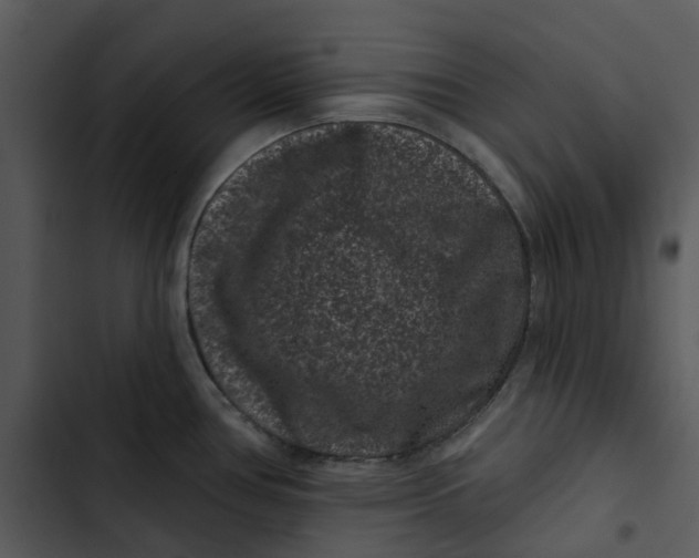 X0000102831386200809081145