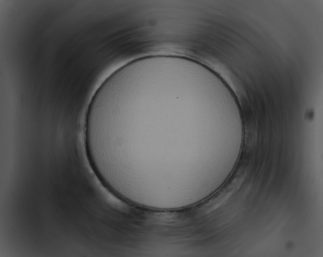 X0000102831387200809081145