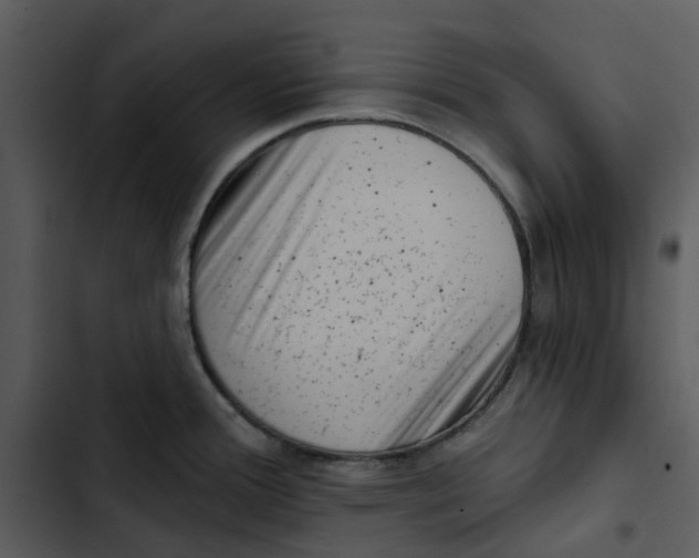 X0000102831388200809081145