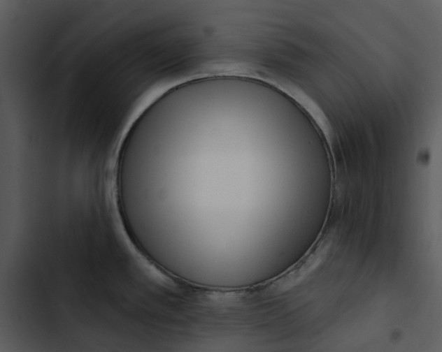 X0000102831389200809081145