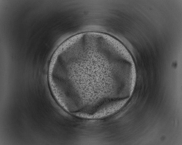 X0000102831390200809081145