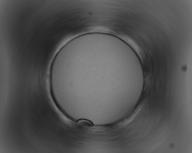 X0000102831391200809081145