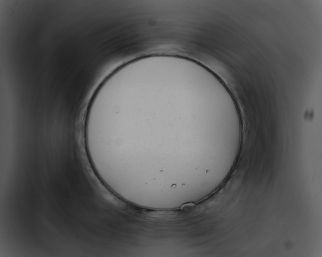 X0000102831392200809081145