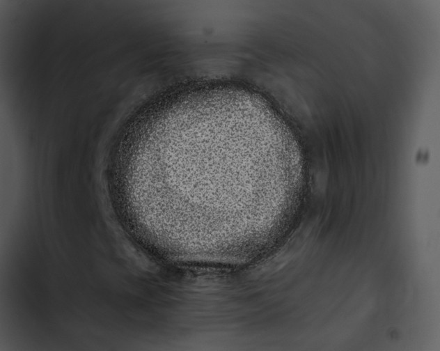 X0000102831393200809081144